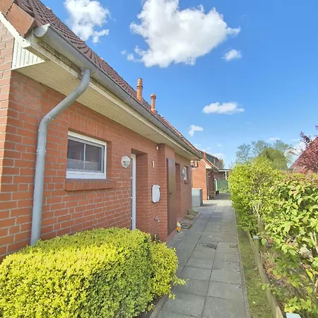 Sperlingnest Ostfriesland *